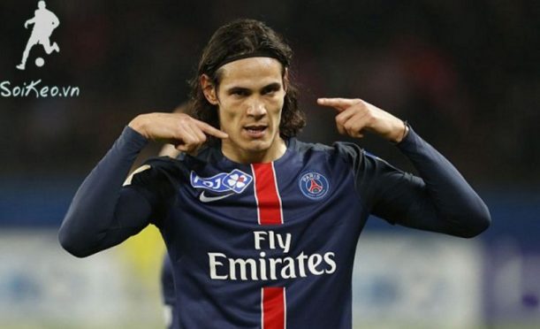 Cavani quyết tâm kế thừa vai trò của Ibra